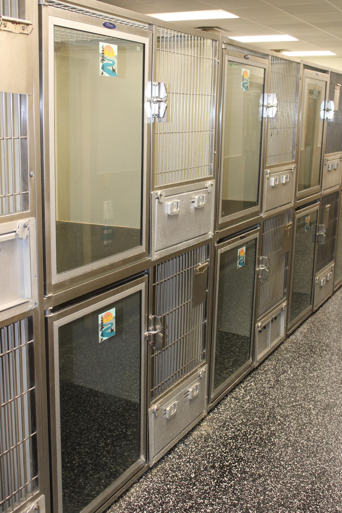 Showing kennels for pet boarding in Ruston