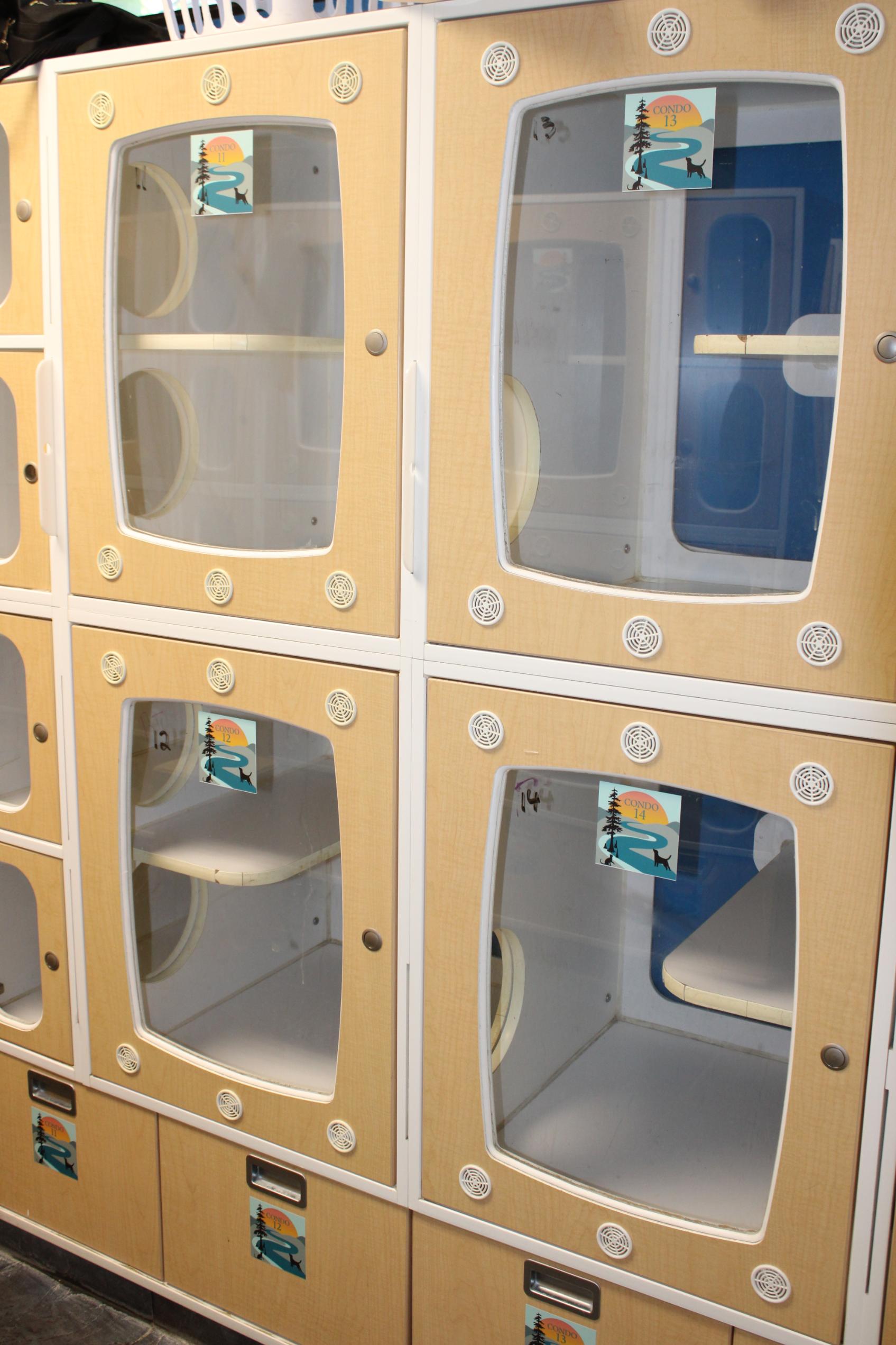 Kennels for pet boarding in Ruston